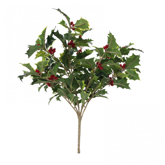 40cm Mixed Green Holly Bush