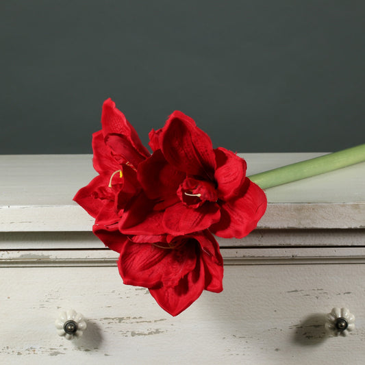 Amaryllis Spray Red (60cm)