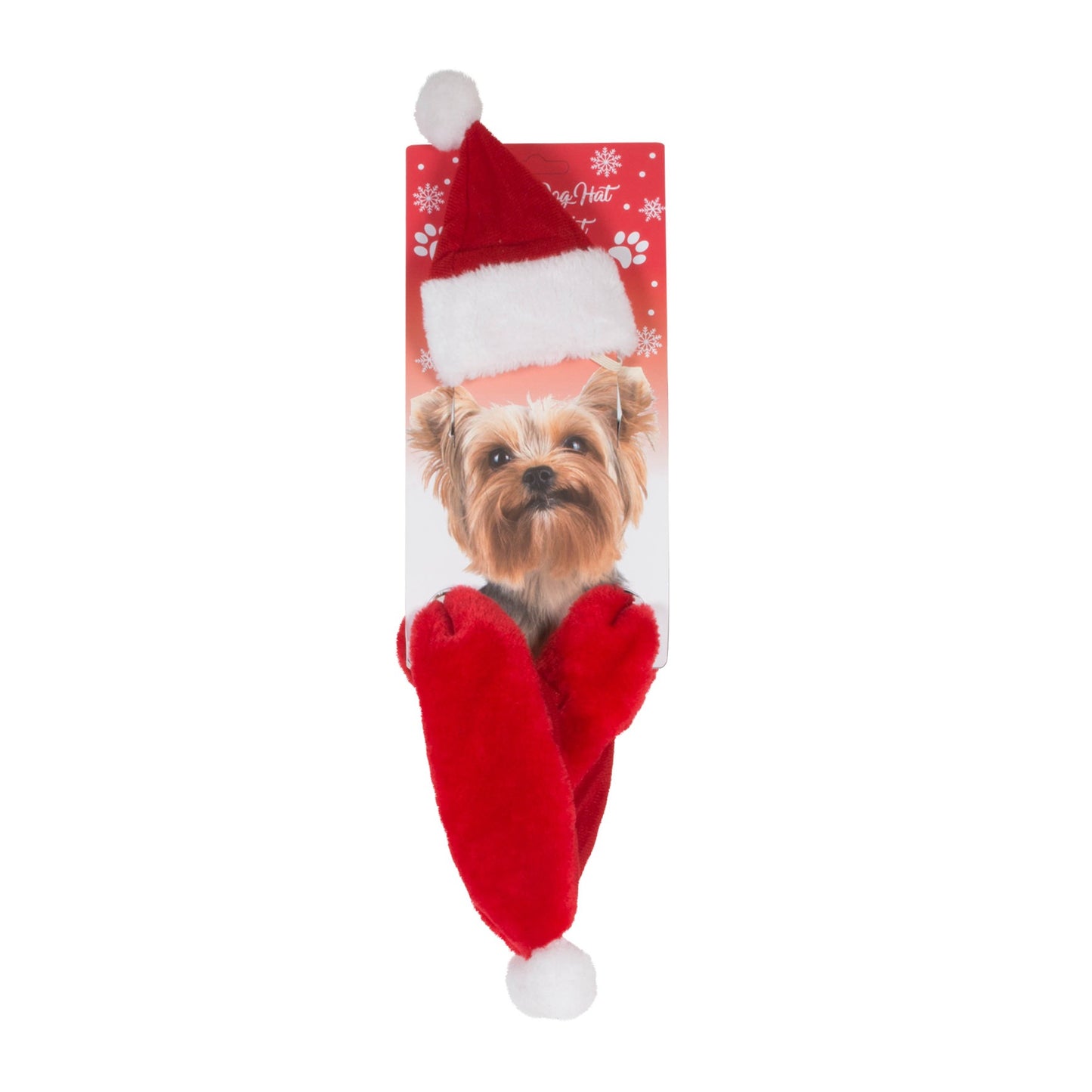 Dog Father Christmas Hat &amp; Scarf