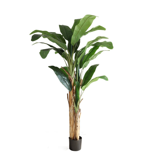 Artificial Banana Tree (205cm)