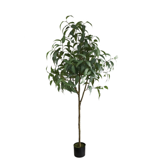 Artificial Eucalyptus Sugar Gum Tree (183cm)