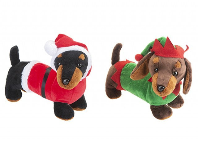 Sausage Dog in Christmas Costume (Assorted)