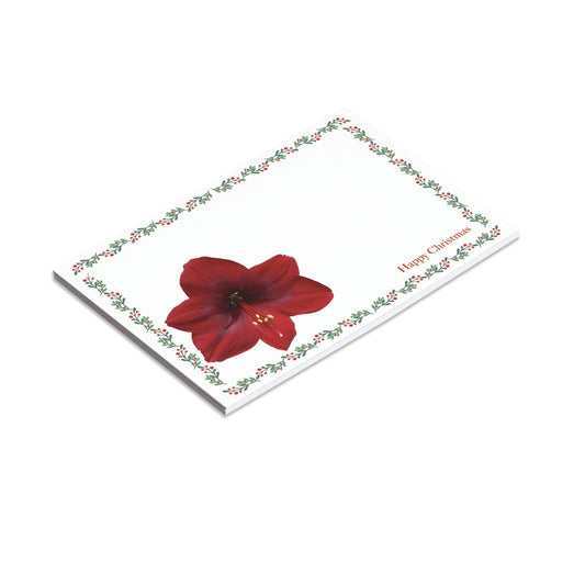 Amaryllis Christmas Card (Pack of 6)