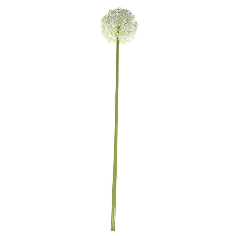 76cm Single Allium Cream &amp; White