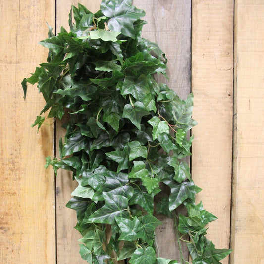 46&quot; English Ivy Vine x 3