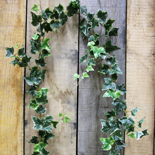 6ft Irish Ivy Garland Green Variegated